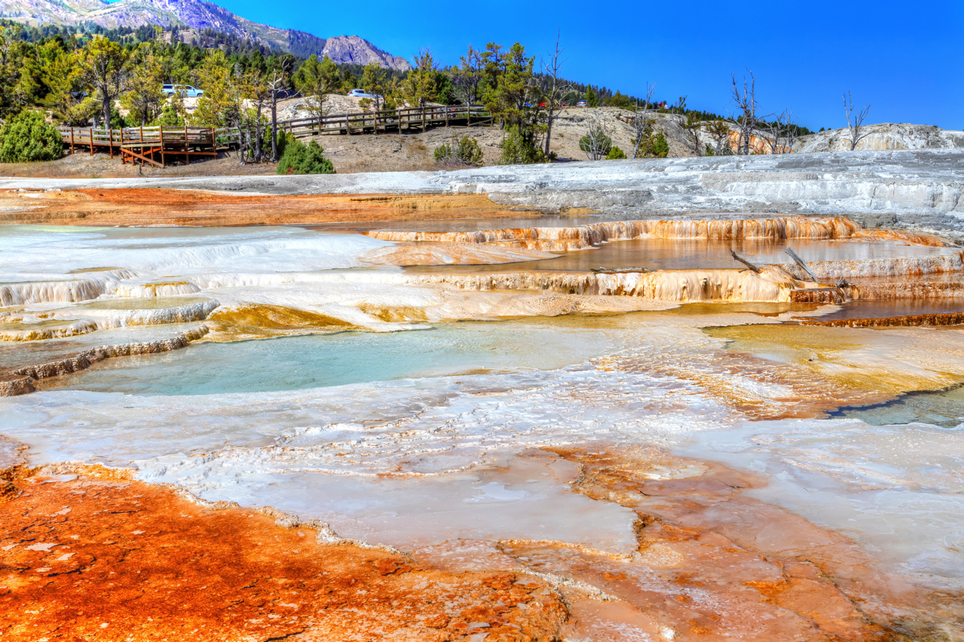 5 SPECTACULAR THINGS YOU MUST DO IN MAMMOTH HOT SPRINGS