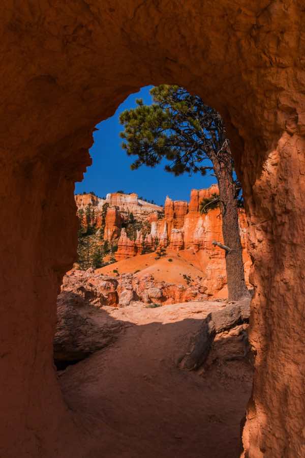 13 Best Hikes in Bryce Canyon for Families