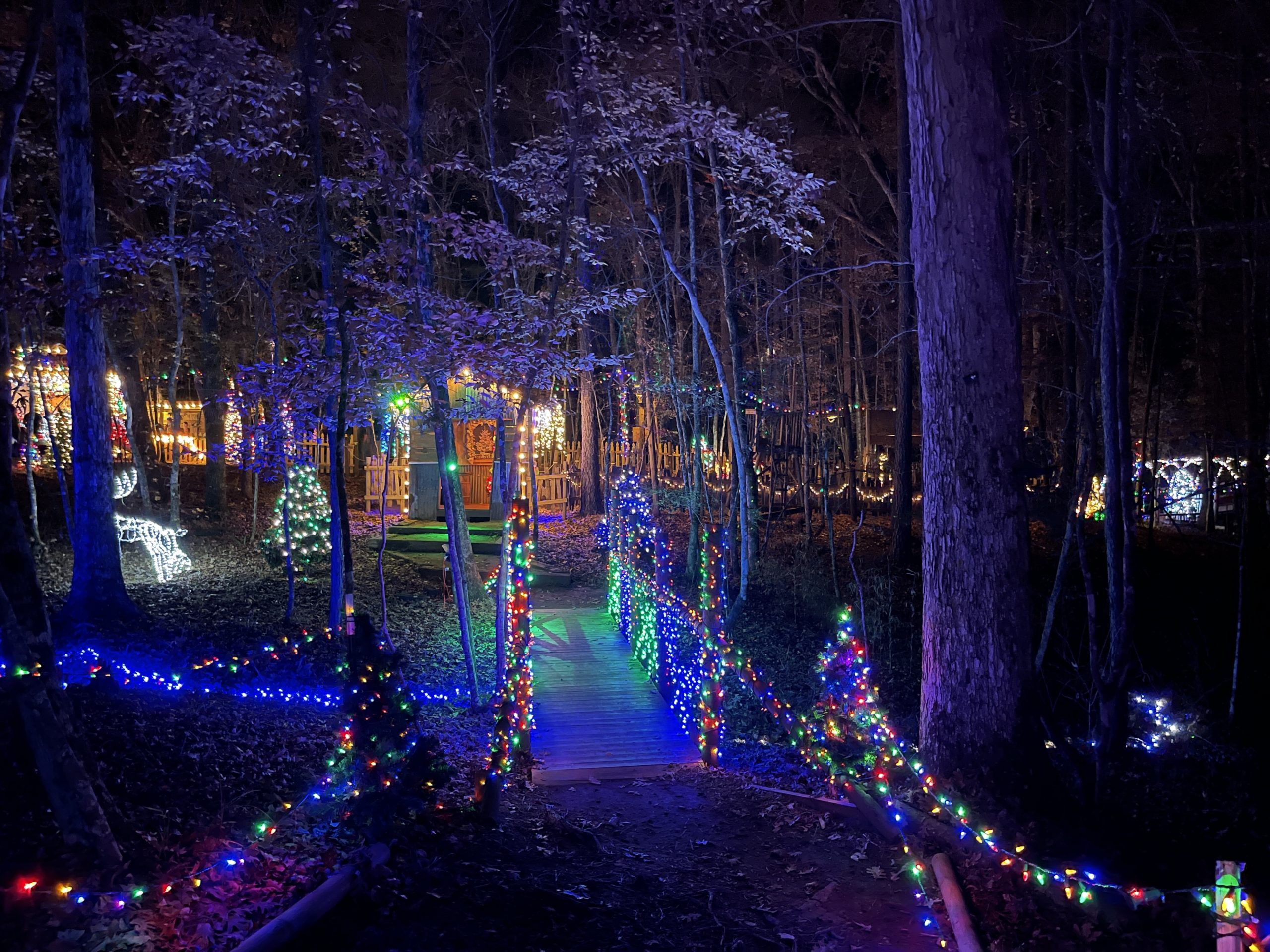 10 FESTIVE WAYS TO CELEBRATE THE NATCHITOCHES CHRISTMAS LIGHTS