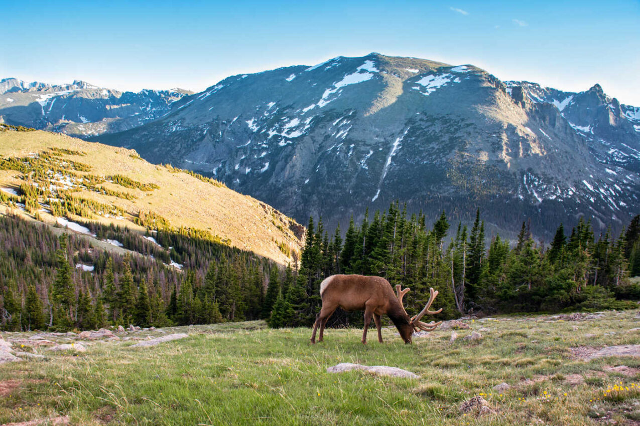 62 PHENOMENAL THINGS TO DO IN COLORADO