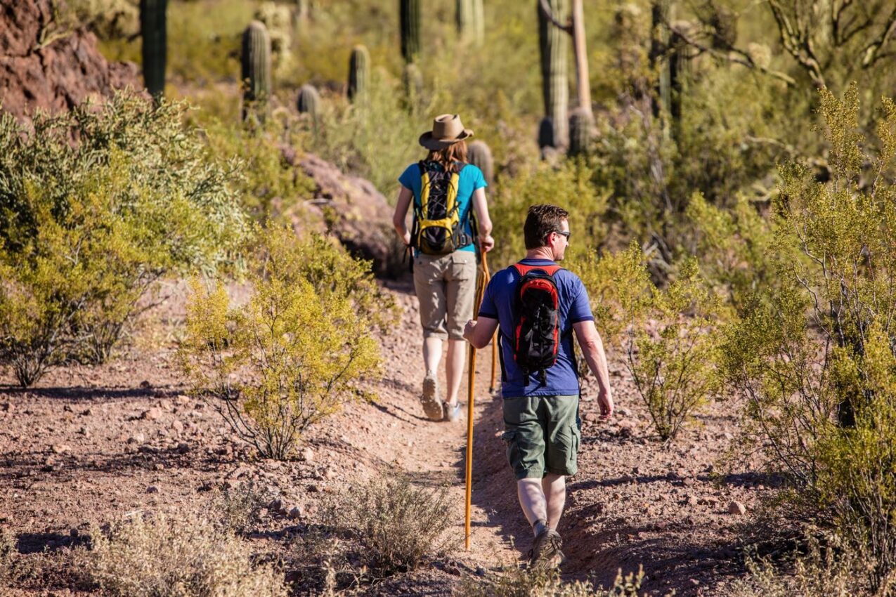 15+ AMAZING PHOENIX HIKING TRAILS WITH AWESOME VIEWS