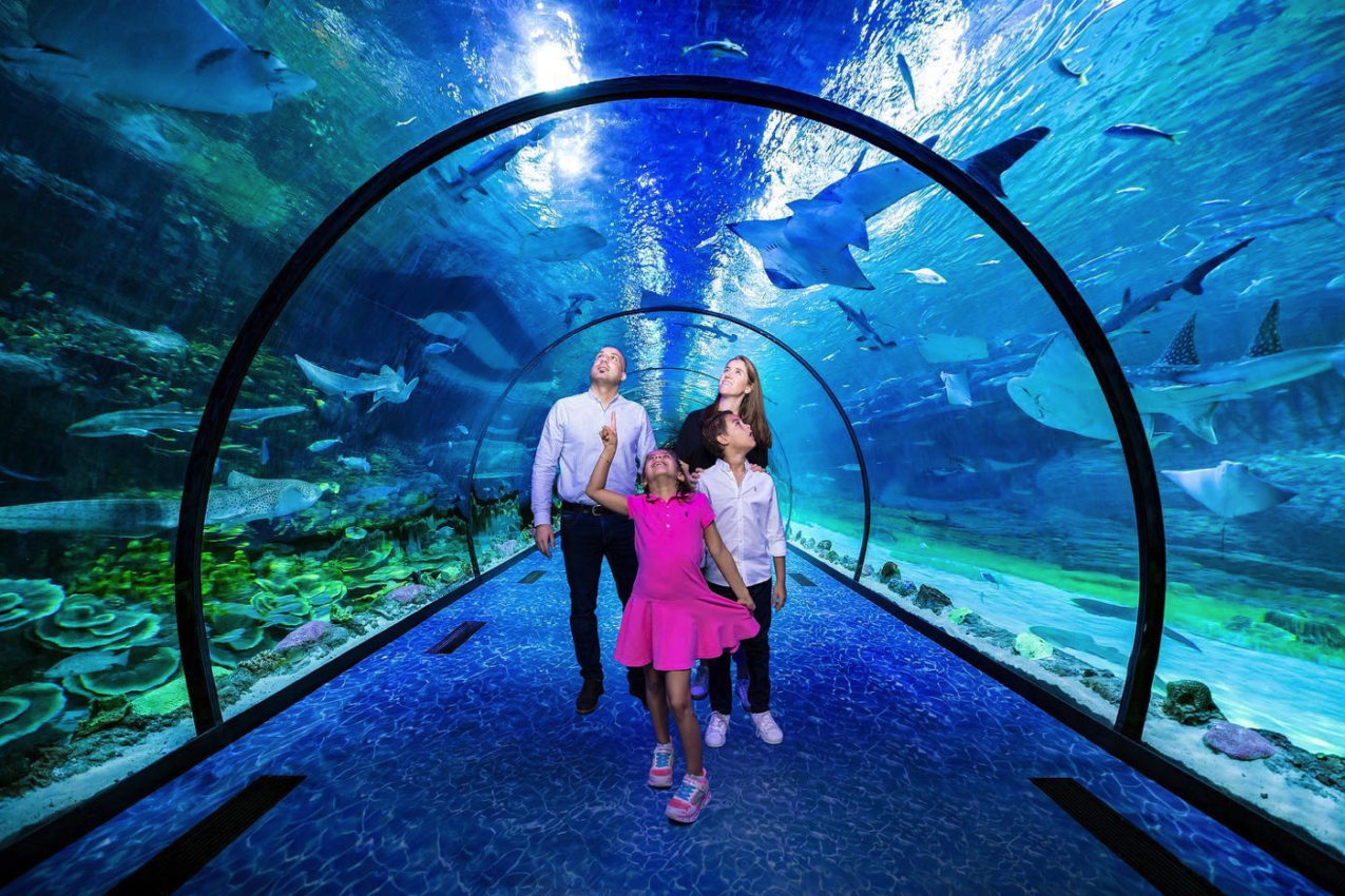 19 AWESOME THINGS TO DO IN BALTIMORE YOUR FAMILY WILL LOVE