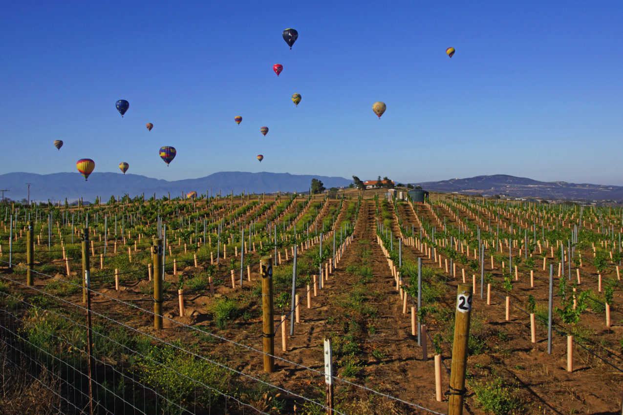 12 AMAZING THINGS TO DO IN TEMECULA, CALIFORNIA