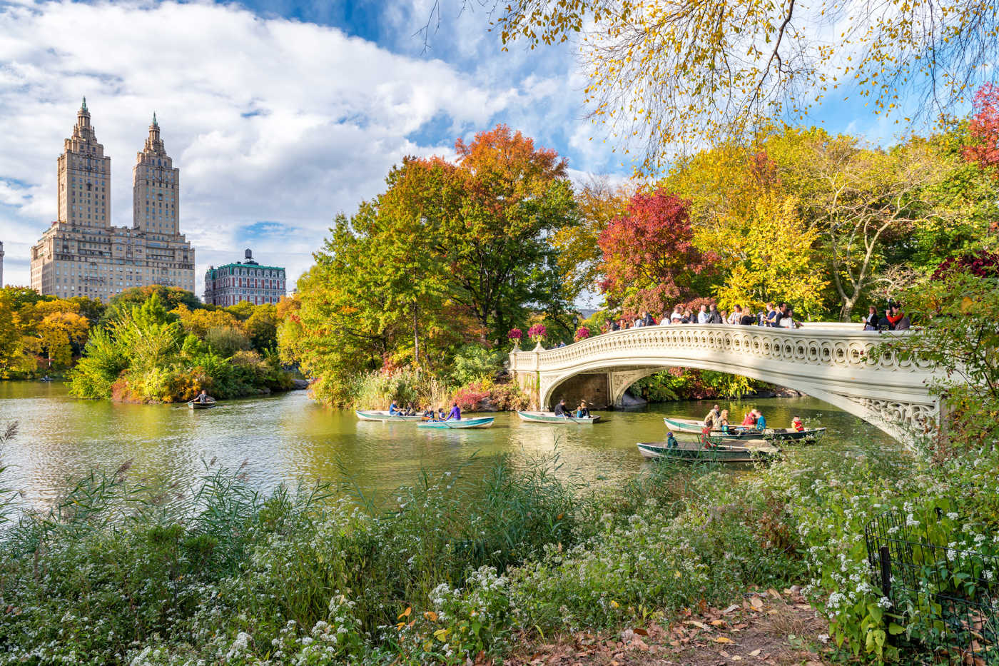 31 PERFECT THINGS TO DO IN NYC WITH KIDS