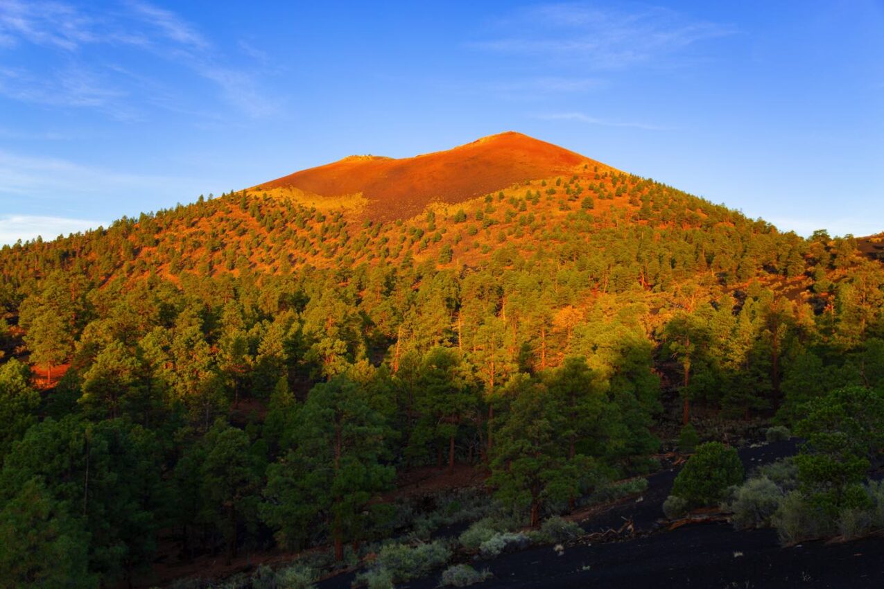 15+ AMAZING THINGS TO DO IN FLAGSTAFF FOR YEAR-ROUND FUN