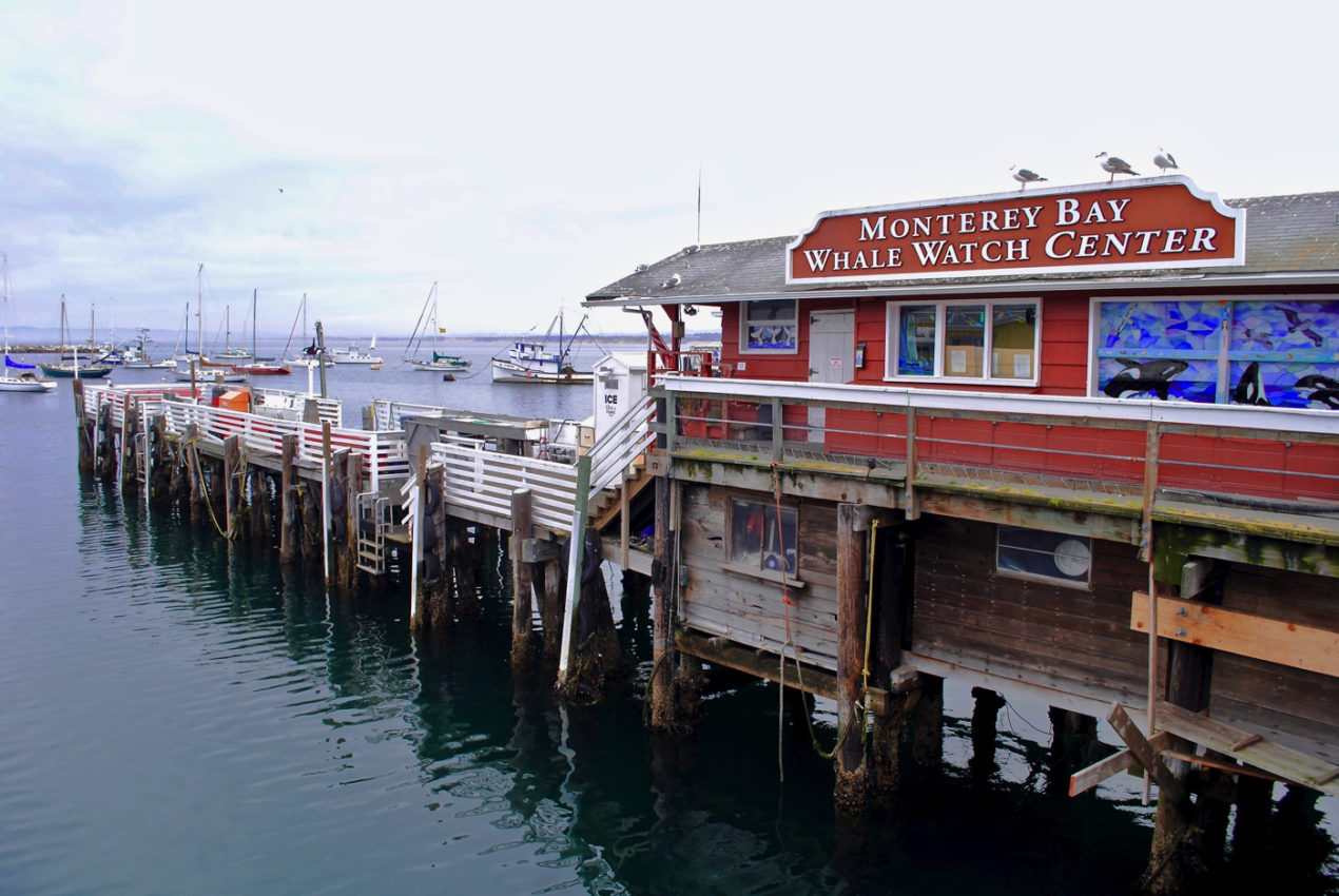 13 SENSATIONAL THINGS TO DO IN MONTEREY