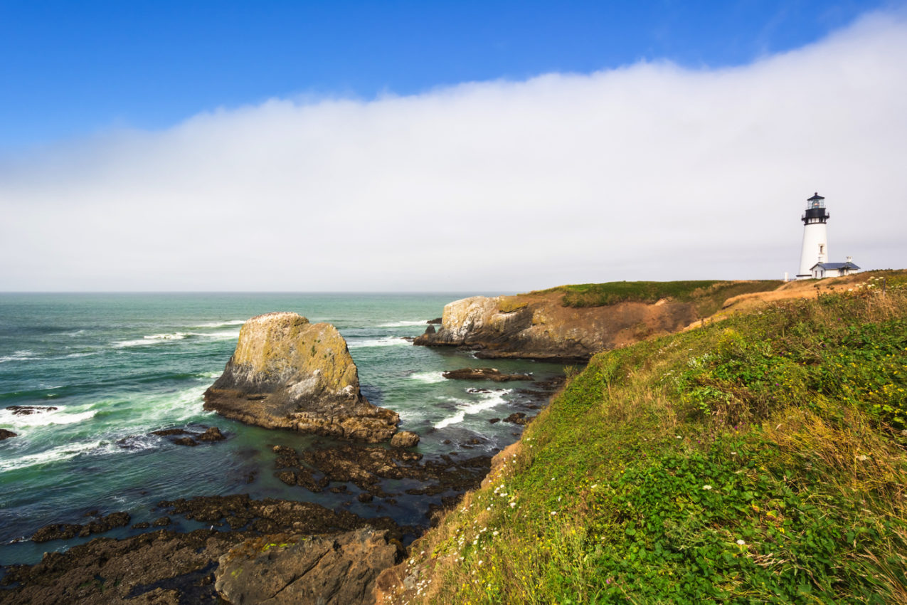 14 AMAZING THINGS TO DO IN NEWPORT OREGON EVERYONE WILL LOVE
