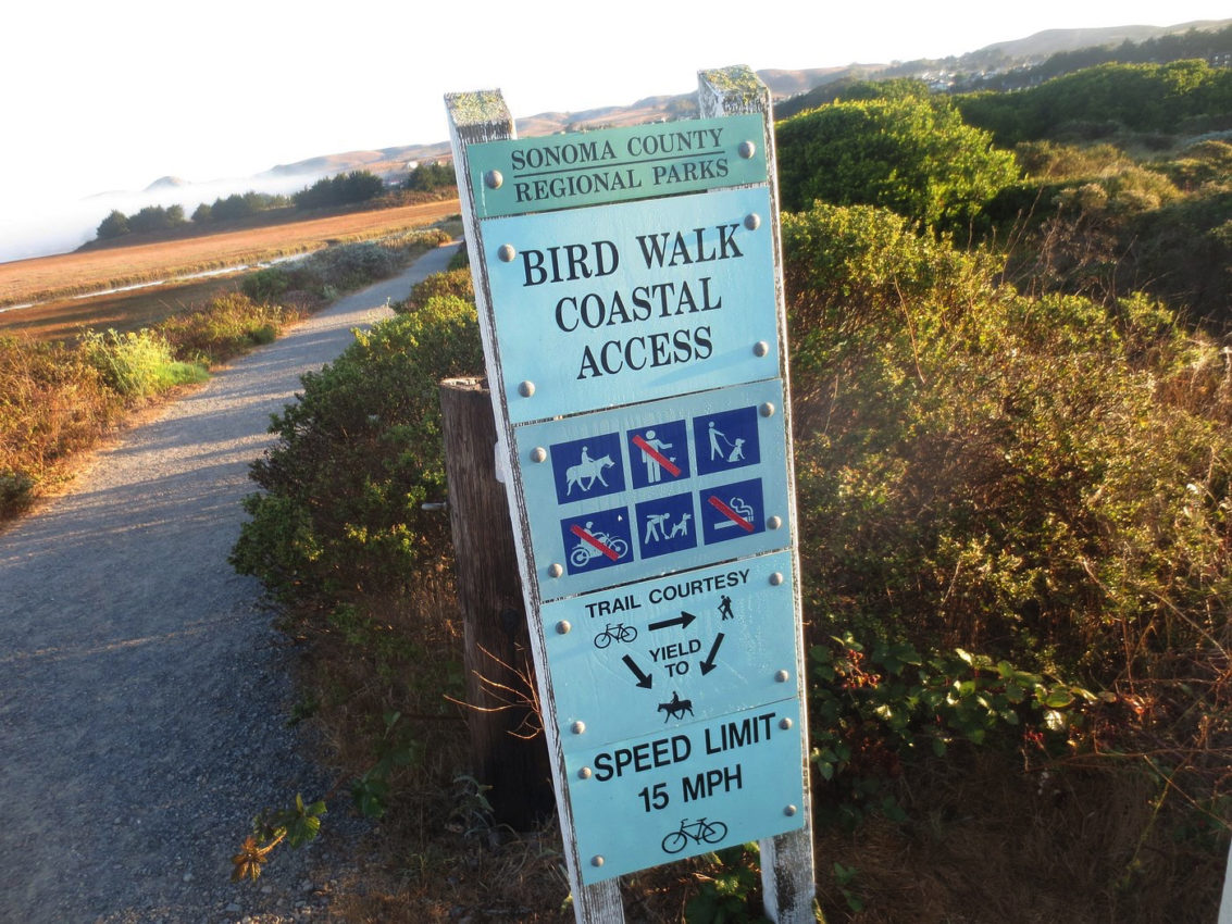 11 AMAZING OUTDOORSY THINGS TO DO IN BODEGA BAY