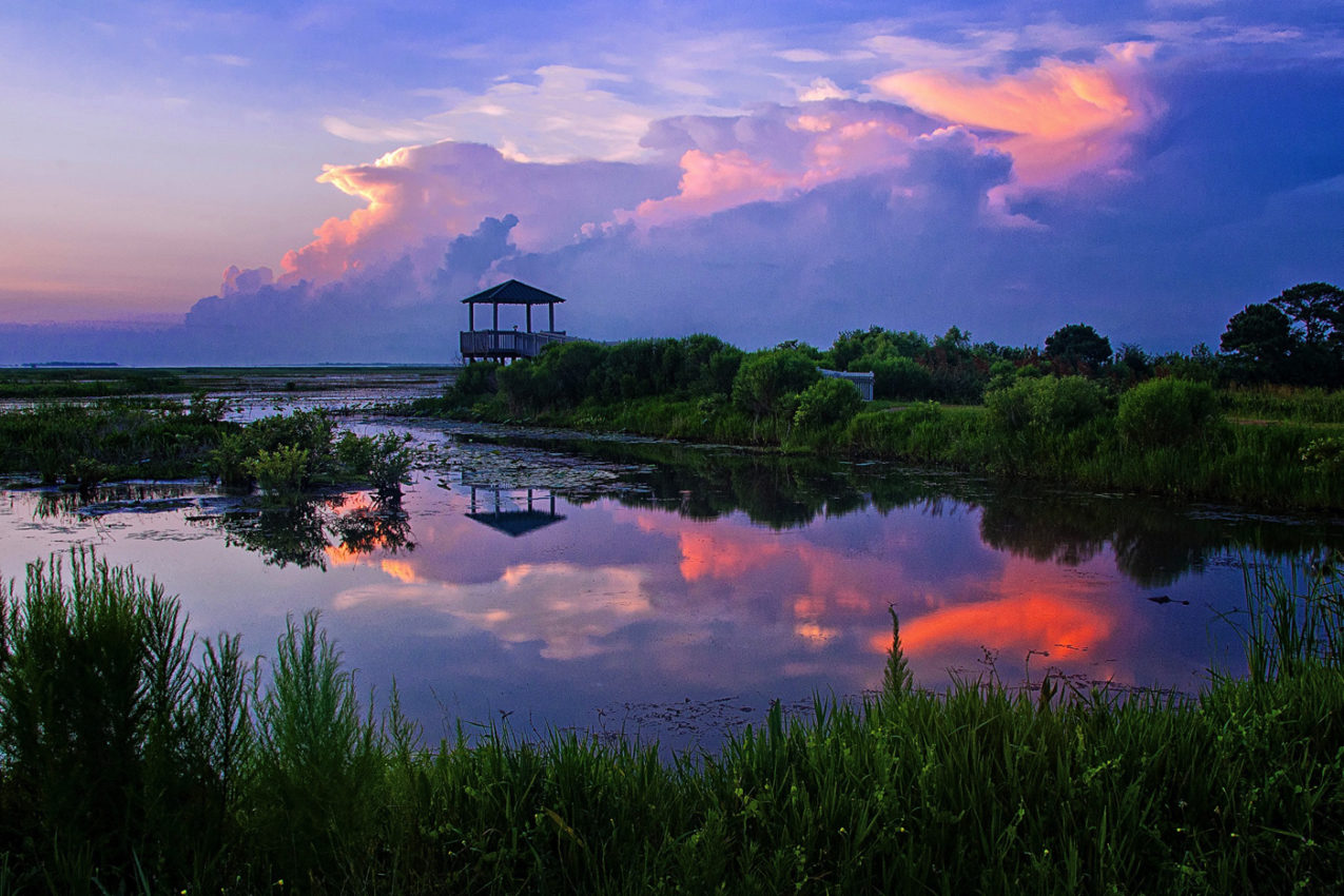 25 THINGS TO DO IN LOUISIANA EVERYONE WILL LOVE