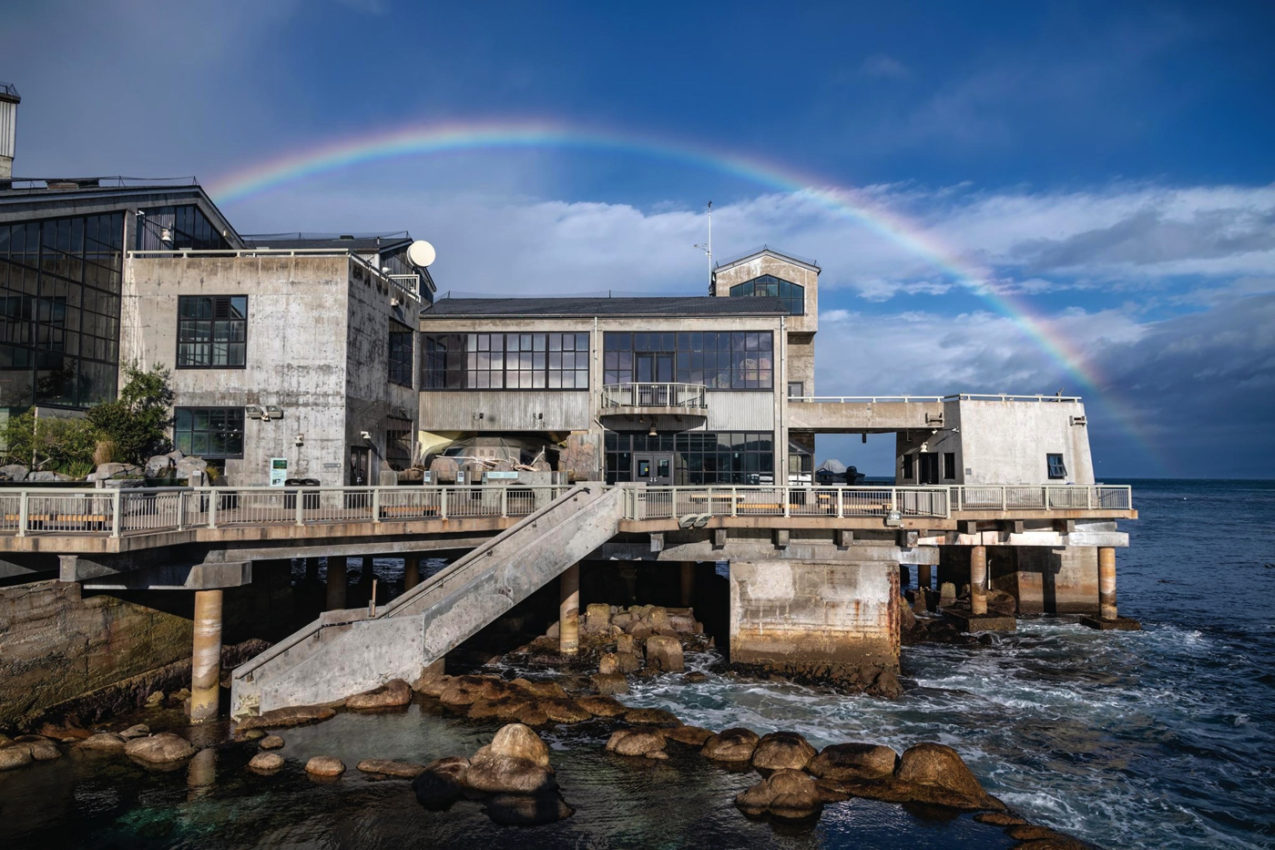 13 SENSATIONAL THINGS TO DO IN MONTEREY