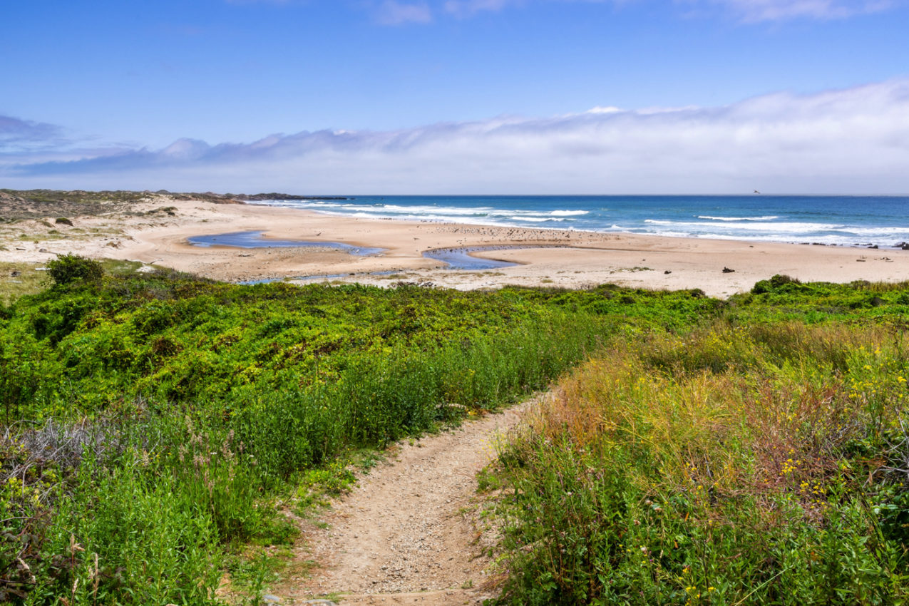16 THINGS TO DO IN HALF MOON BAY FOR COASTAL FUN