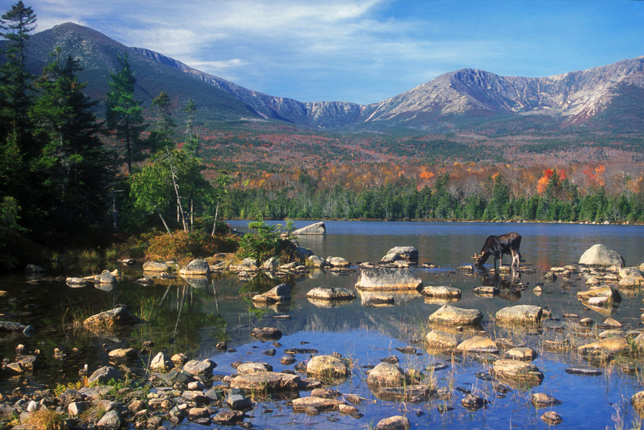 21 Best Things To Do In Maine That You Can’t Miss