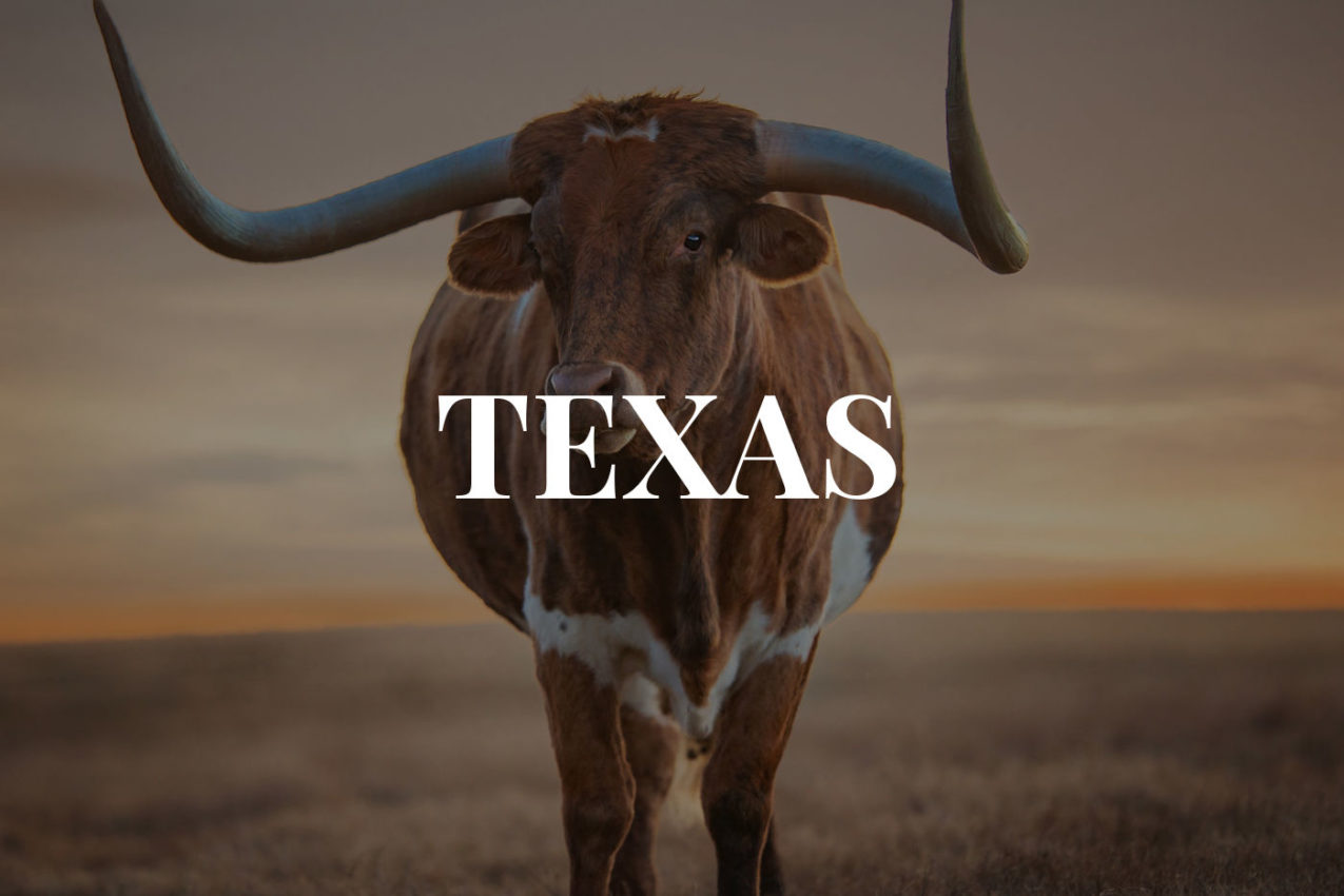 23 AMAZING THINGS TO DO IN TEXAS YOU CAN'T MISS