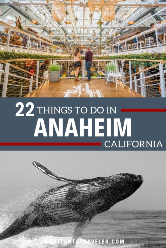 22 Amazing Things To Do in Anaheim, California