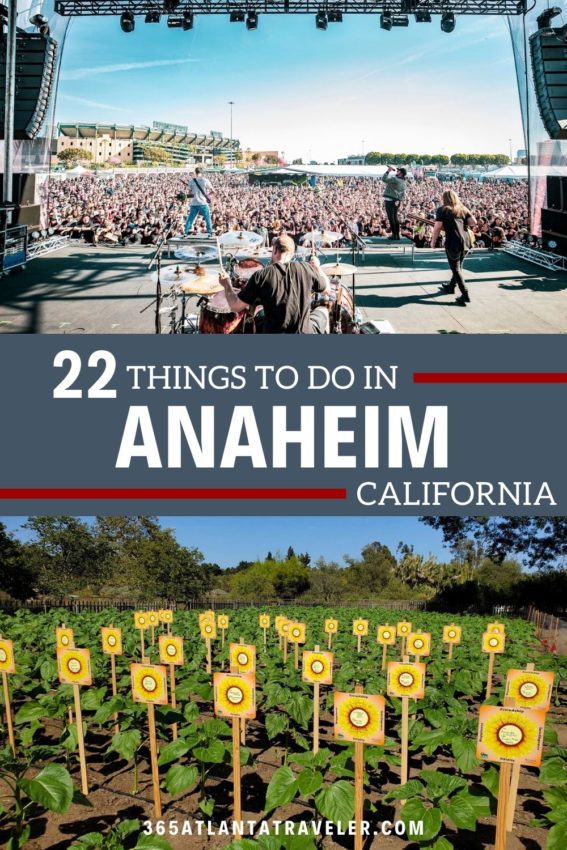 22 Amazing Things To Do in Anaheim, California