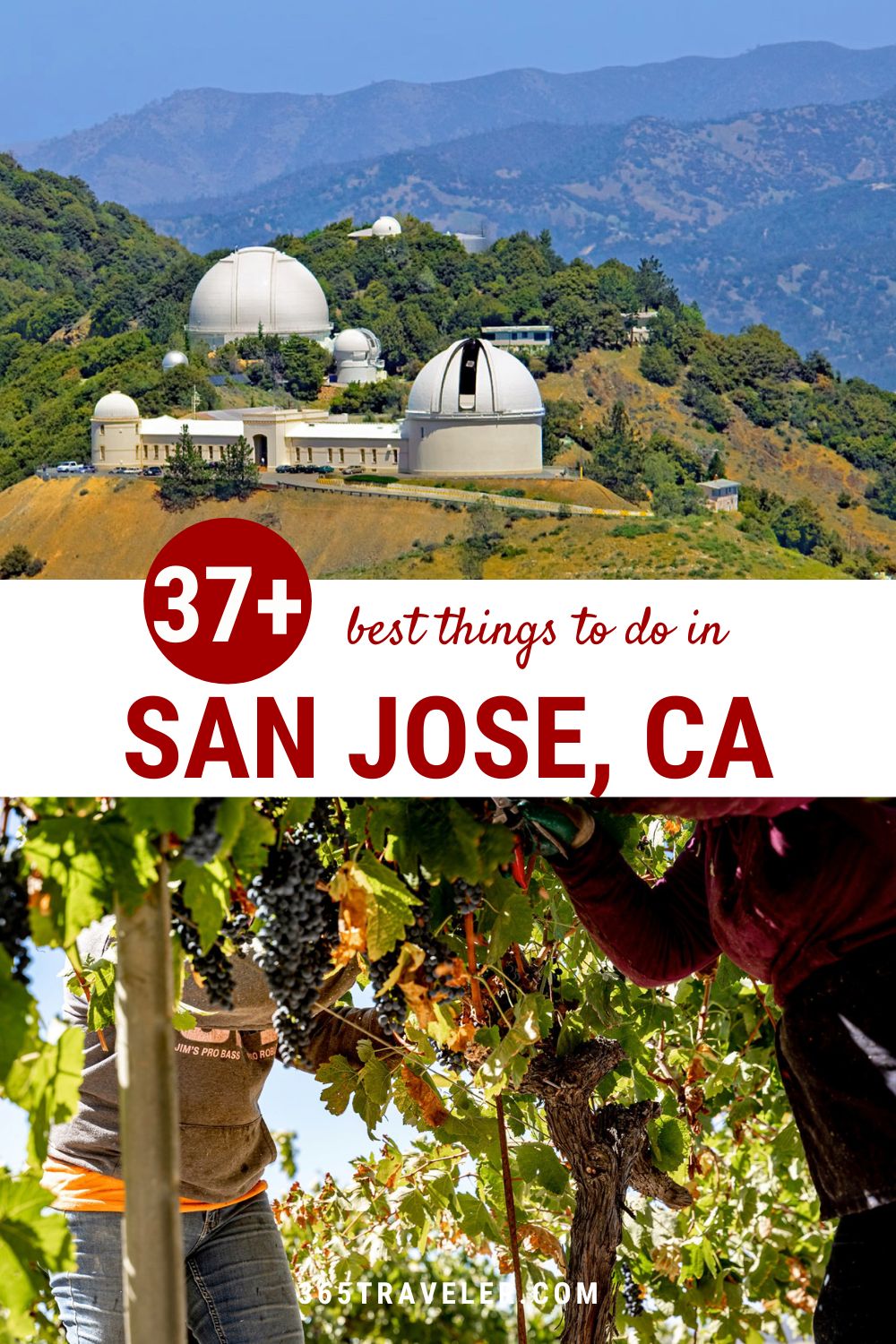 37 Awesome Things To Do In San Jose California