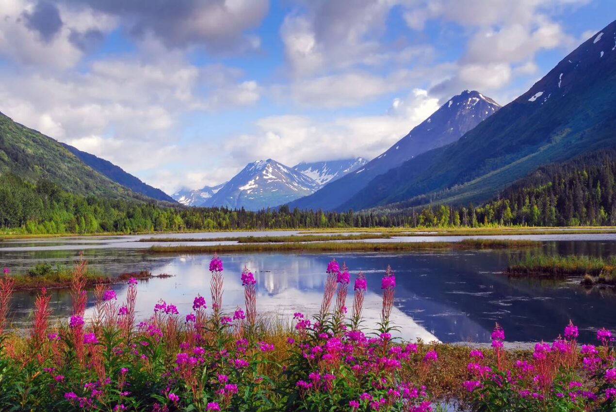 21 BEST THINGS TO DO IN ALASKA YOU CAN'T MISS