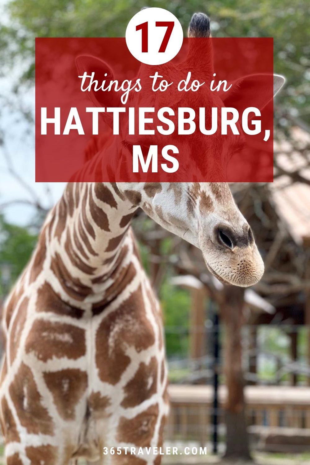 17 Things To Do in Hattiesburg Ms You’ll Love