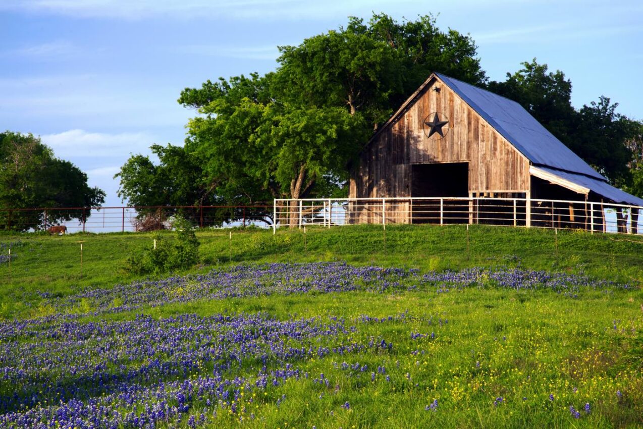 TEXAS VACATION