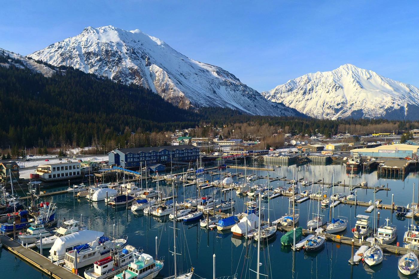 12 Absolute Best Things To Do in Seward Alaska