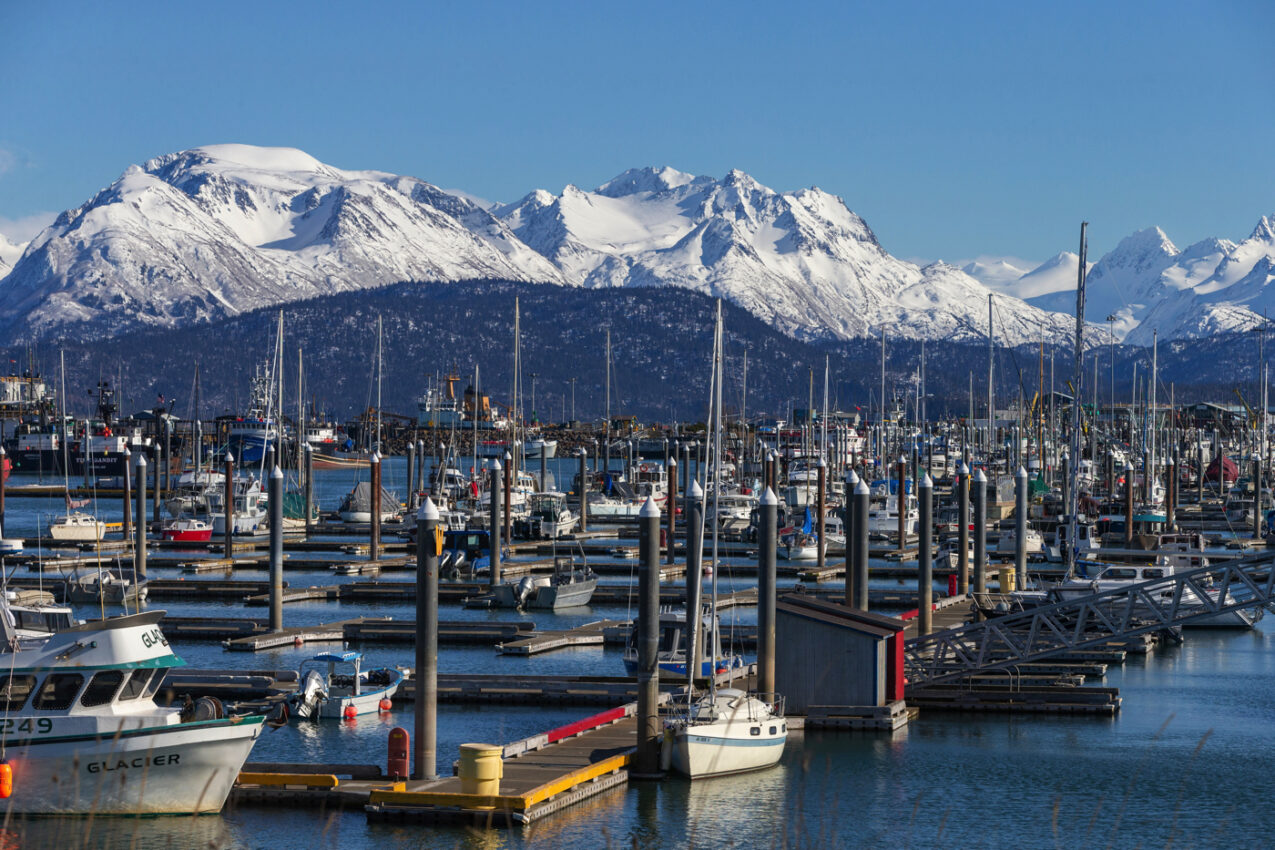12 ABSOLUTE BEST THINGS TO DO IN HOMER ALASKA