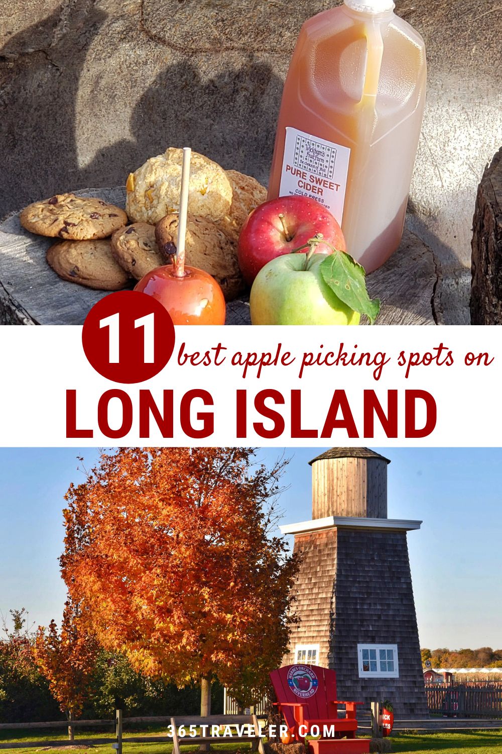 APPLE PICKING LONG ISLAND: 11 SPOTS YOU'LL LOVE