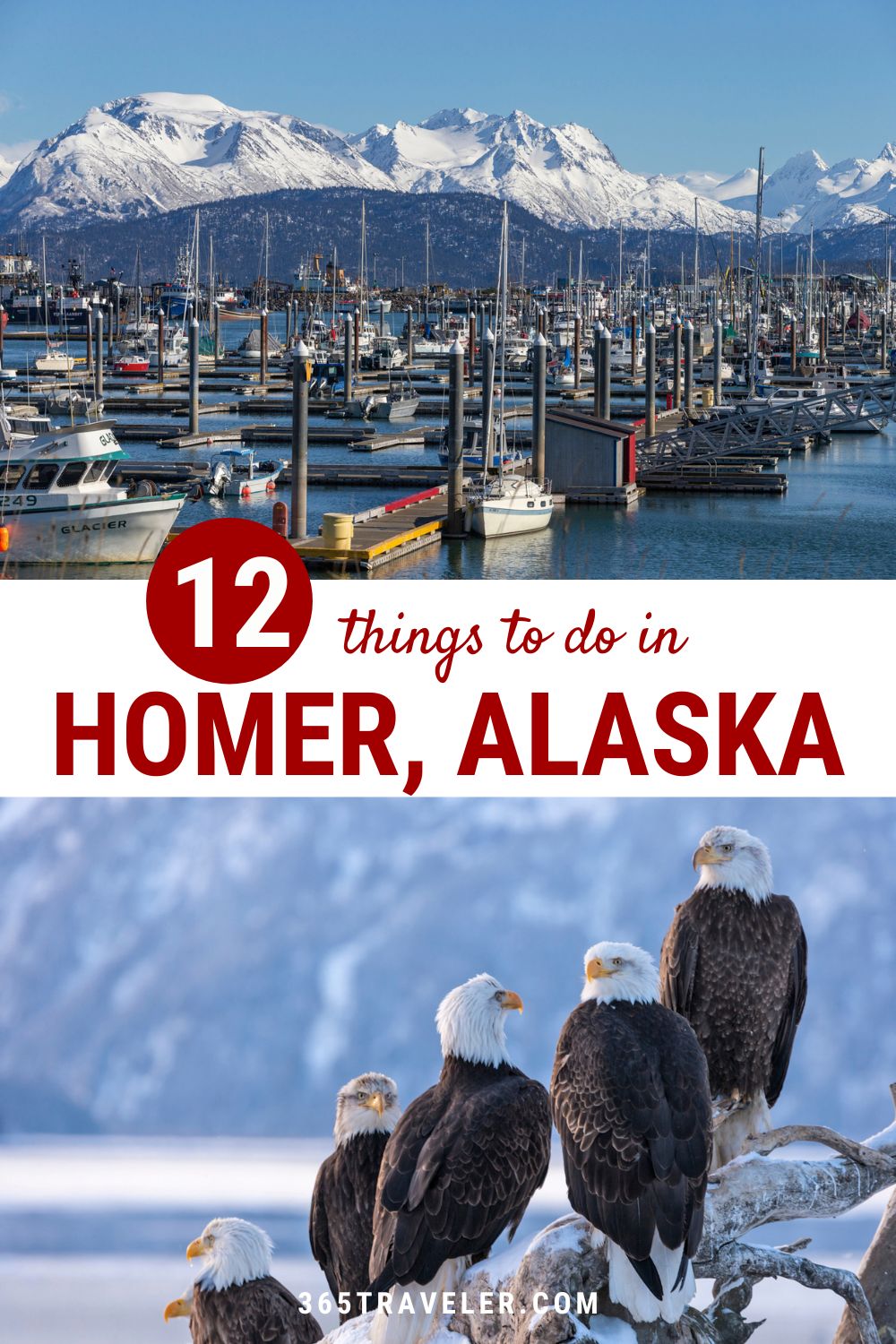 12 Absolute Best Things To Do in Homer Alaska