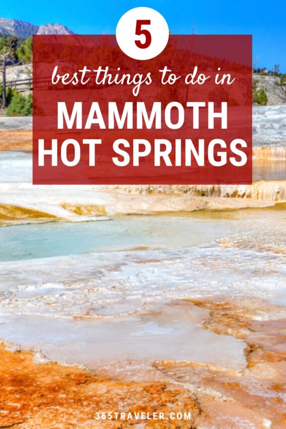 5 SPECTACULAR THINGS YOU MUST DO IN MAMMOTH HOT SPRINGS
