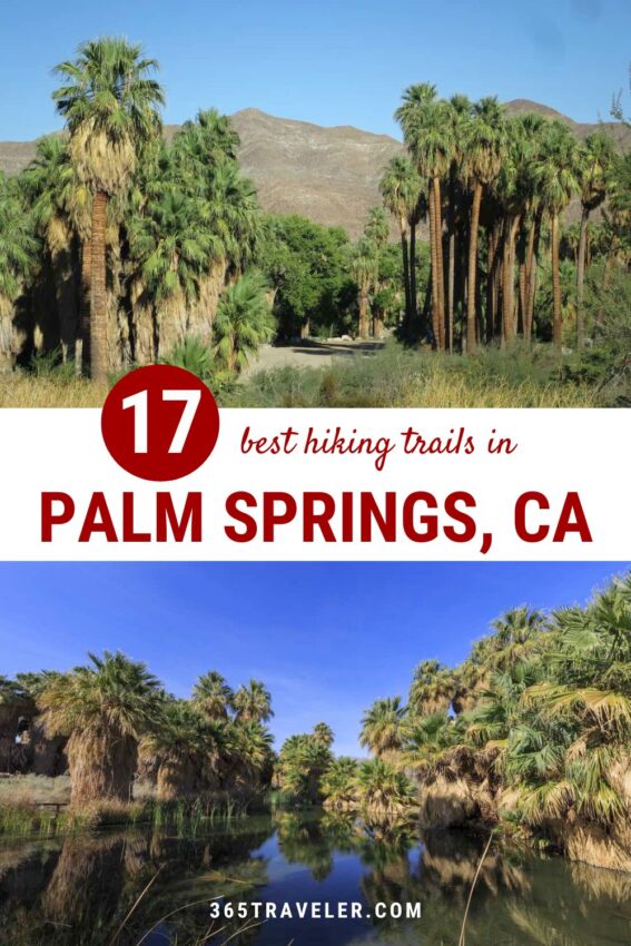 17 BEST TRAILS FOR HIKING IN PALM SPRINGS