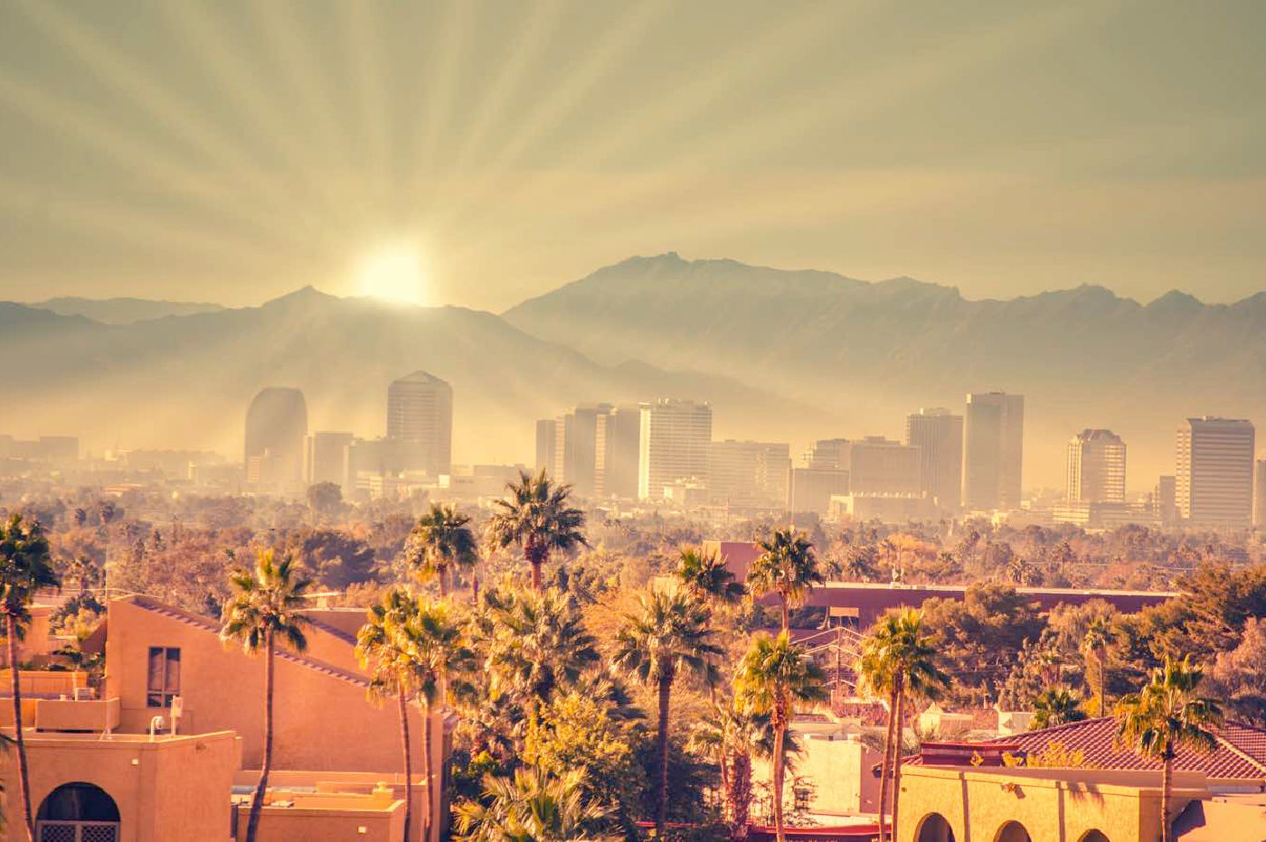 21 Amazing Things To Do In Phoenix You’ll Love